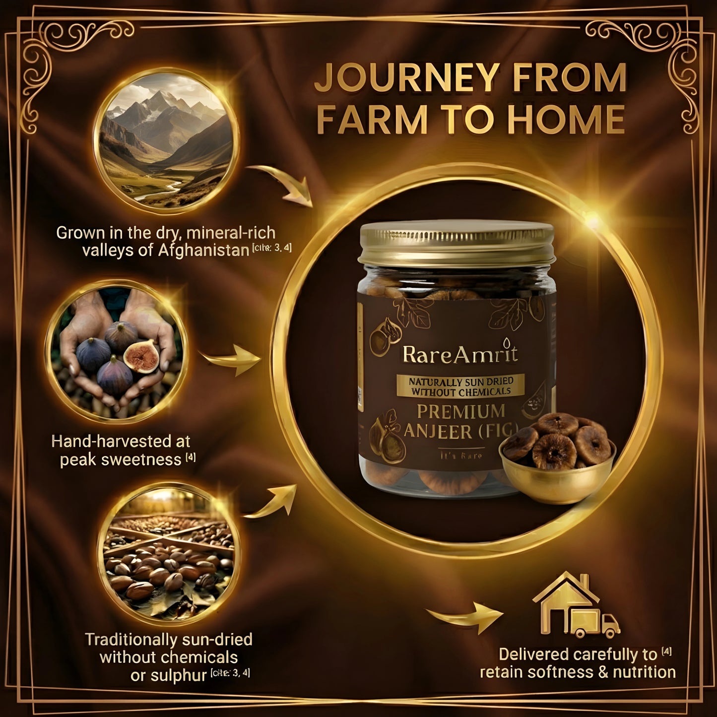 Rareamrit Afgani Anjeer