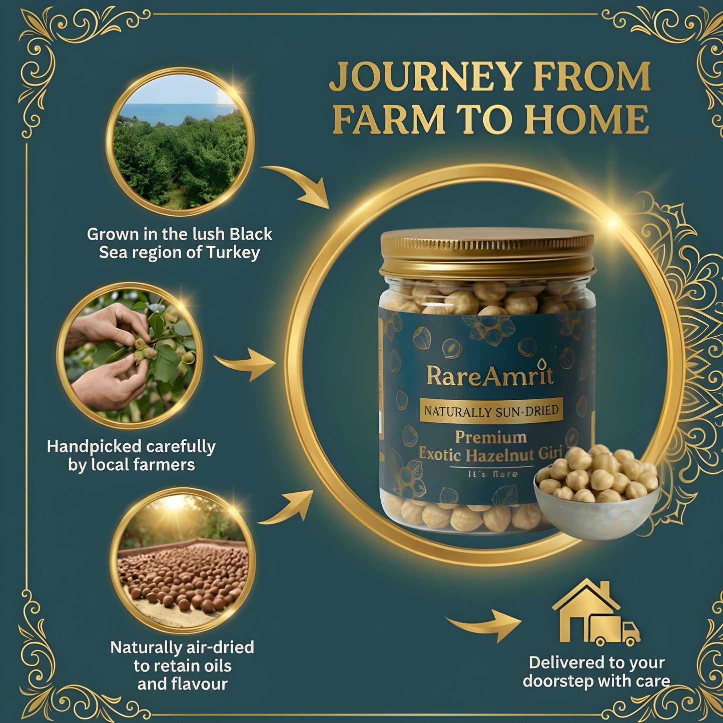 Rareamrit Exotic Hazelnut Without shell