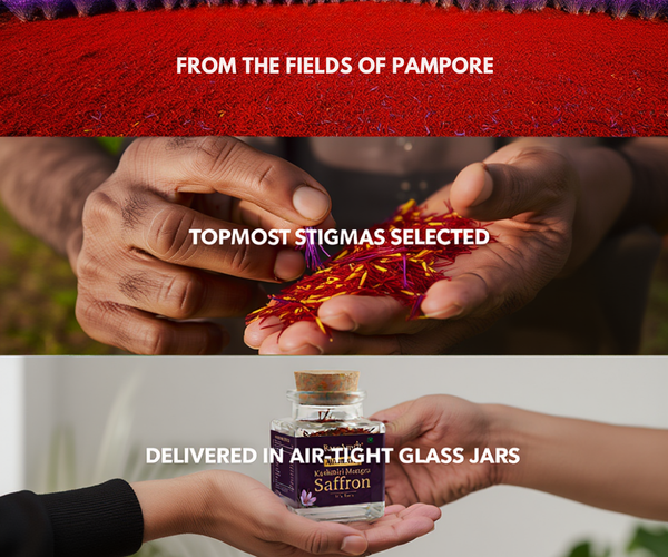  saffron for mood and mental health benefits